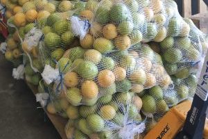 lomin resized edited